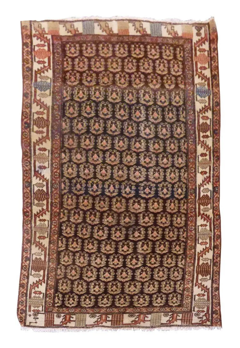 P1070359 Medium 646aa0d6 1a72 4fd5 85eb 2a7241a8d378